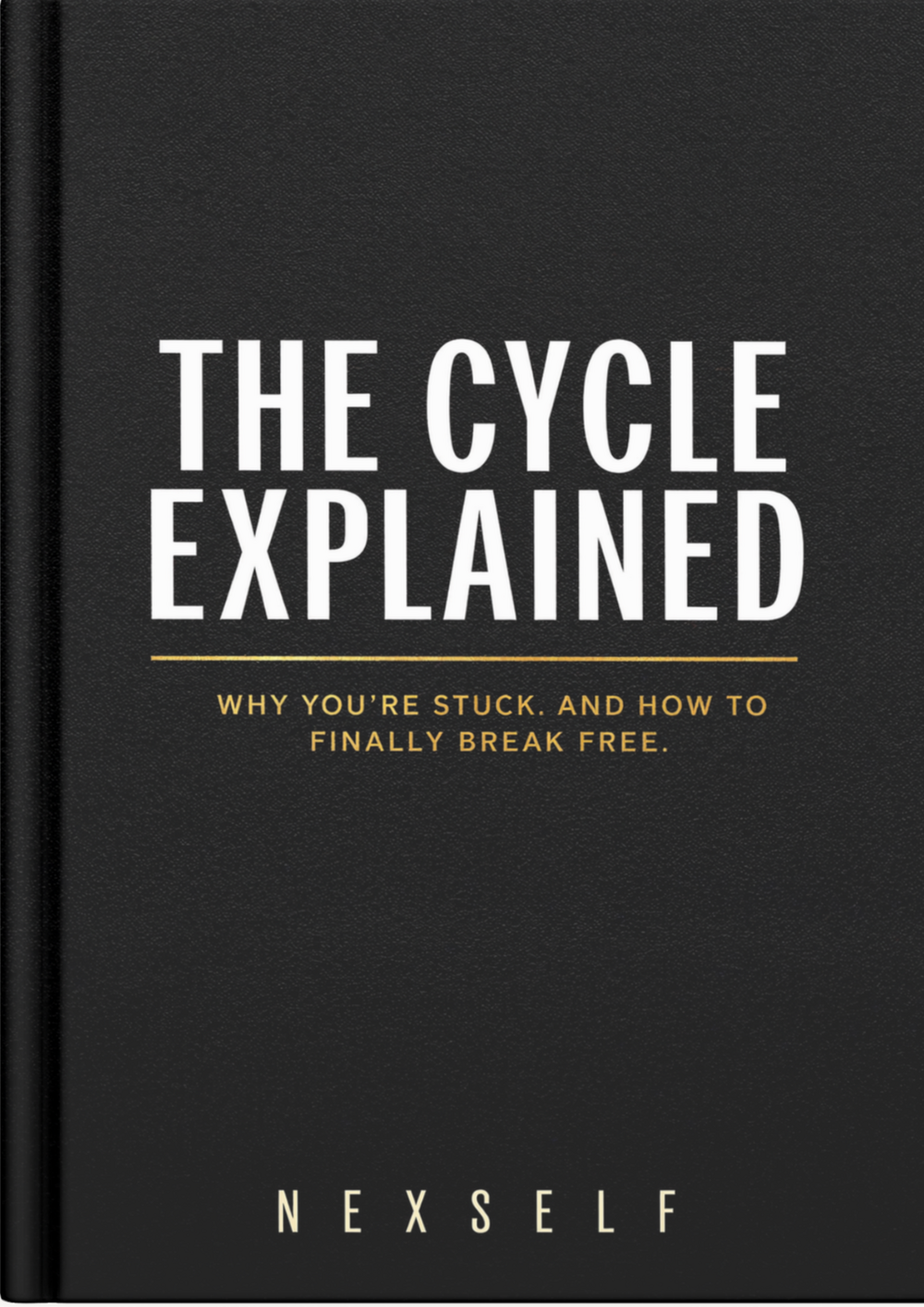 The Cycle Explained — book cover